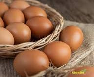 মেসার্স তন্ময় এগ্রো ফার্ম