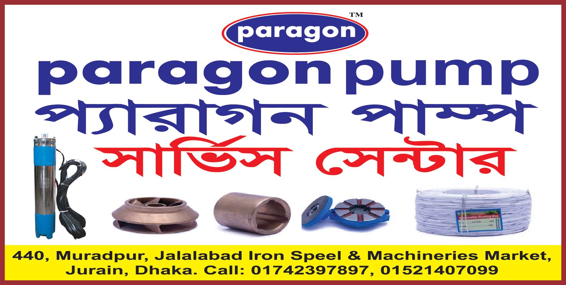 PARAGON SUBMERSIBLE WINDING WIRE