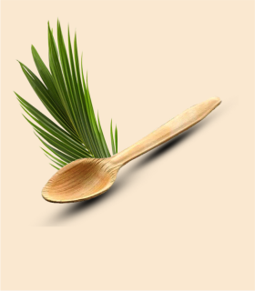Engreen 14 cm Eco-friendly Areca Leaf Spoon