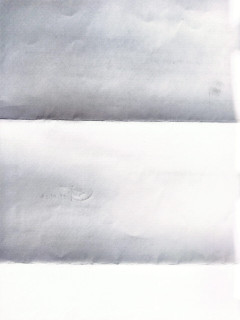 লিচুর মধু